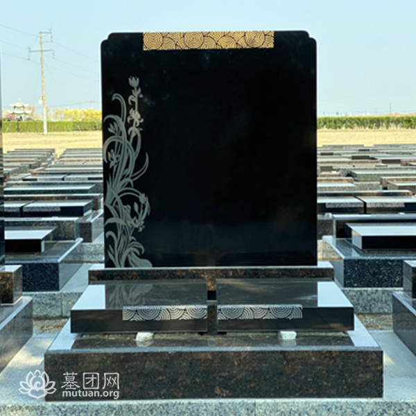 和善园A区 兰