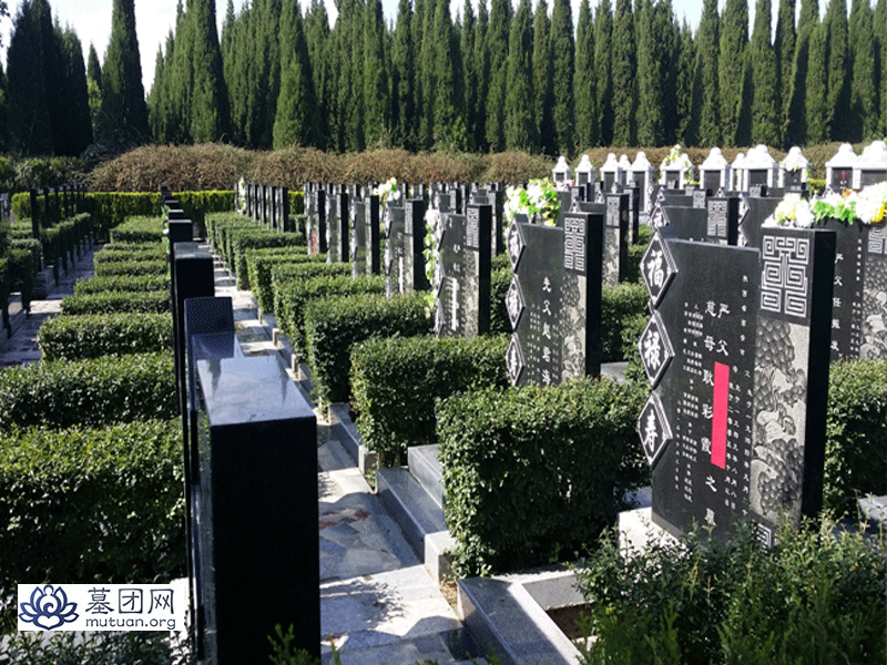 汉皇树葬墓园