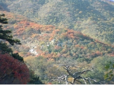 金山陵园